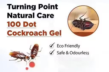 Cockroach Gel , Buy 1 Get 2 Free - Cockroach Killer | Kitchen Safe | Odourless | Fast and Convenient Pest Control Cockroach Killer Gel for Home | Repellent Gel ultimate cockroach killer Guaranteed effect Powerful herbal (PACK OF -3 )