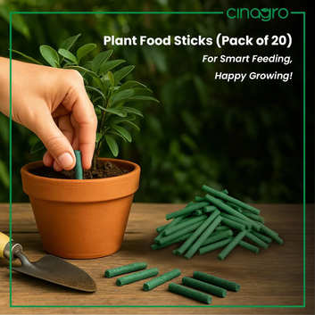 Plant Food Sticks  - Organic Indoor Plant Nutrition Buy 1 Get 1 Free